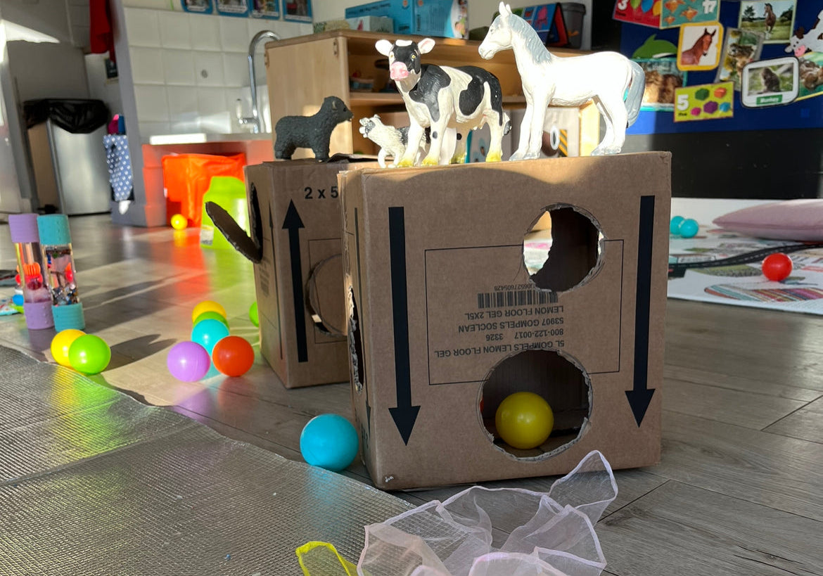 Cardboard Box fun: An all-time favourite