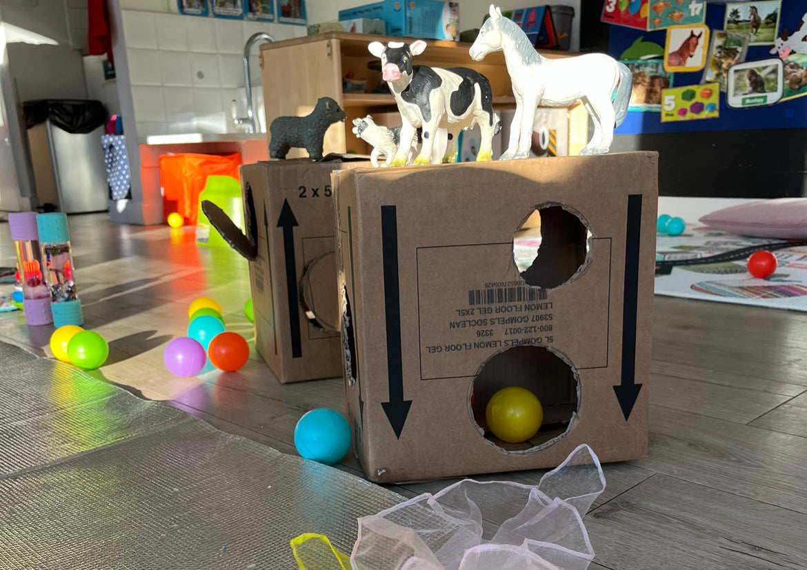 Cardboard Box fun: An all-time favourite
