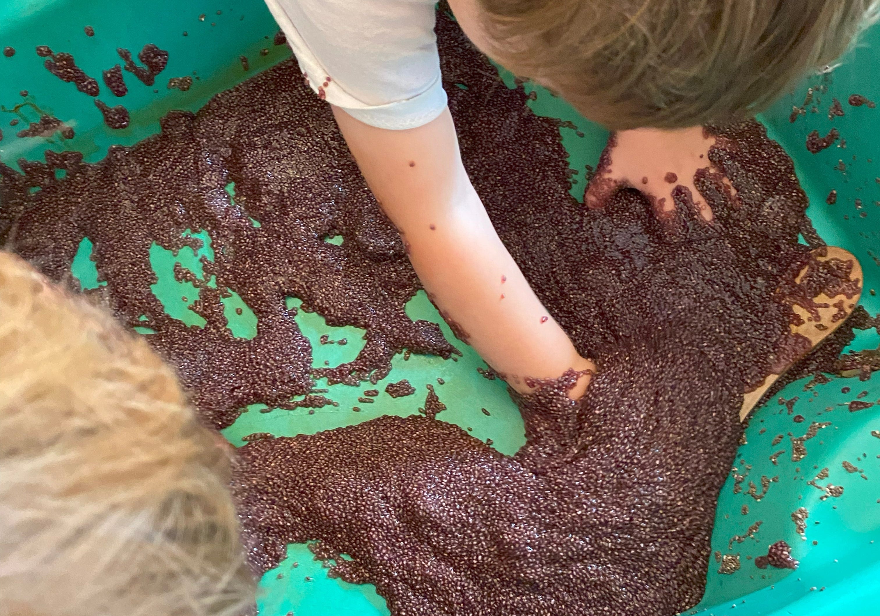Chia Seeds Slime