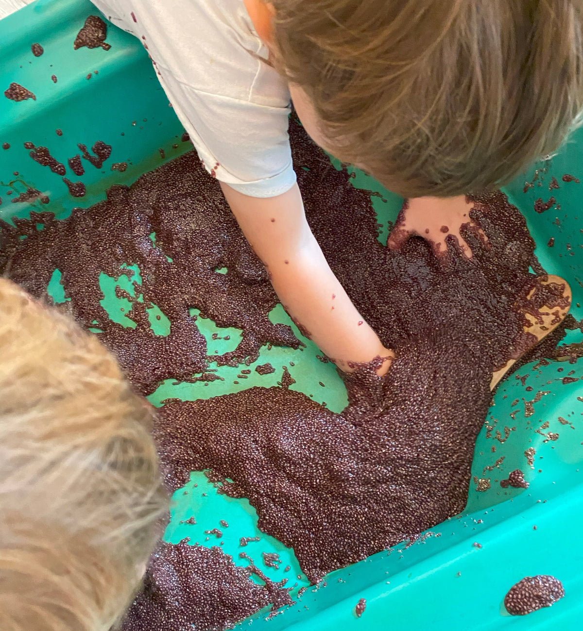 Chia Seeds Slime