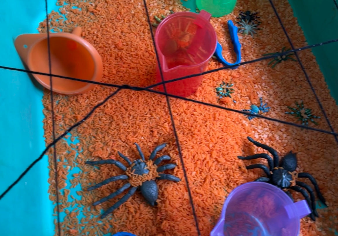 Saving Spiders
