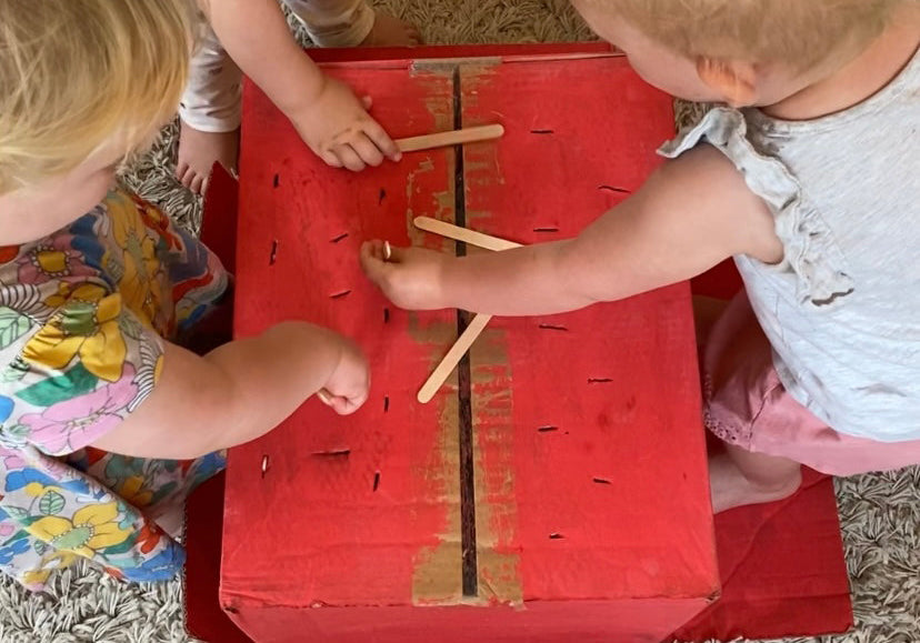Cardboard Box and Lolly Sticks