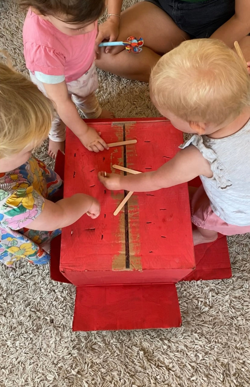 Cardboard Box and Lolly Sticks