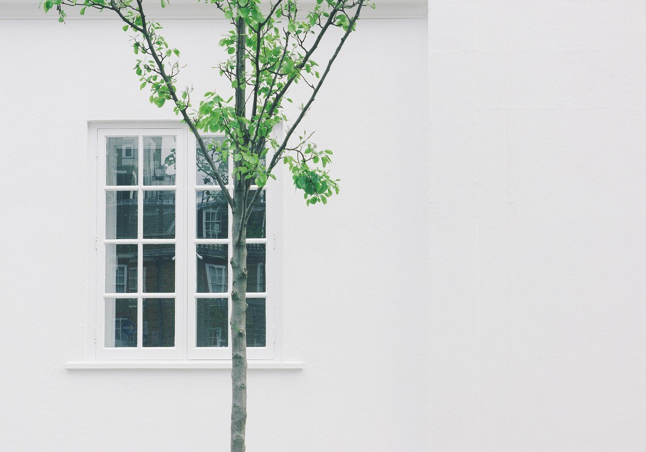 Creating a Home That Feels Good: A Space That Supports You and Your Family