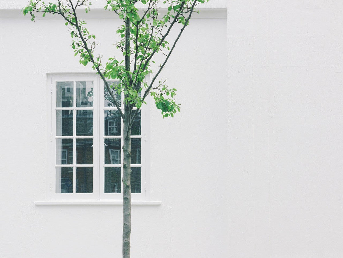Creating a Home That Feels Good: A Space That Supports You and Your Family