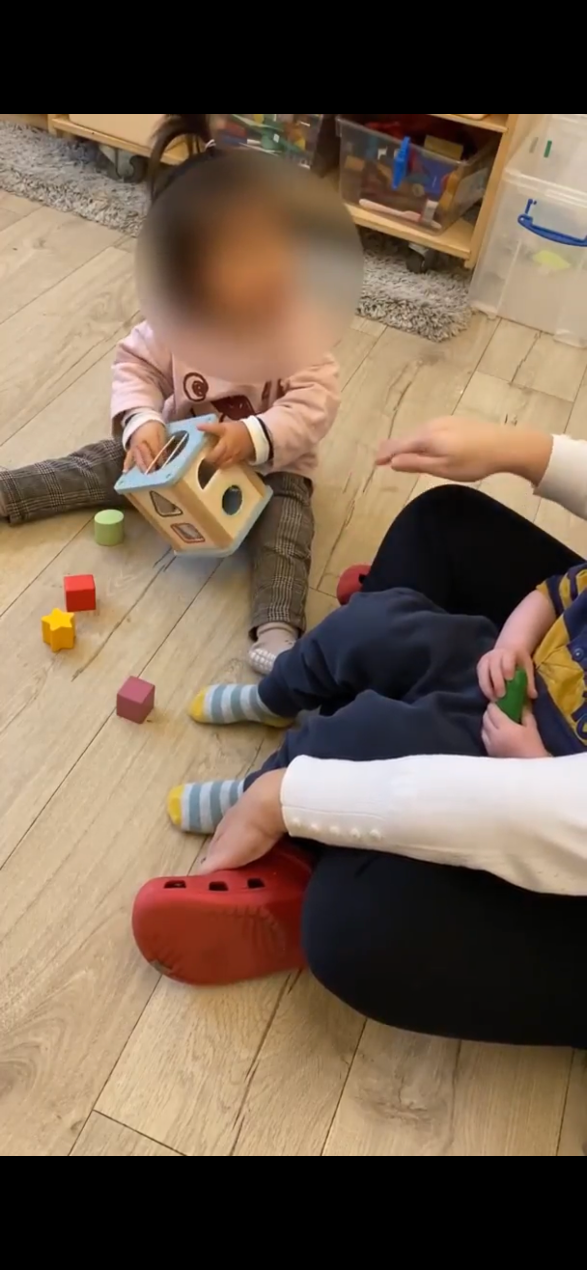 Shape Sorter