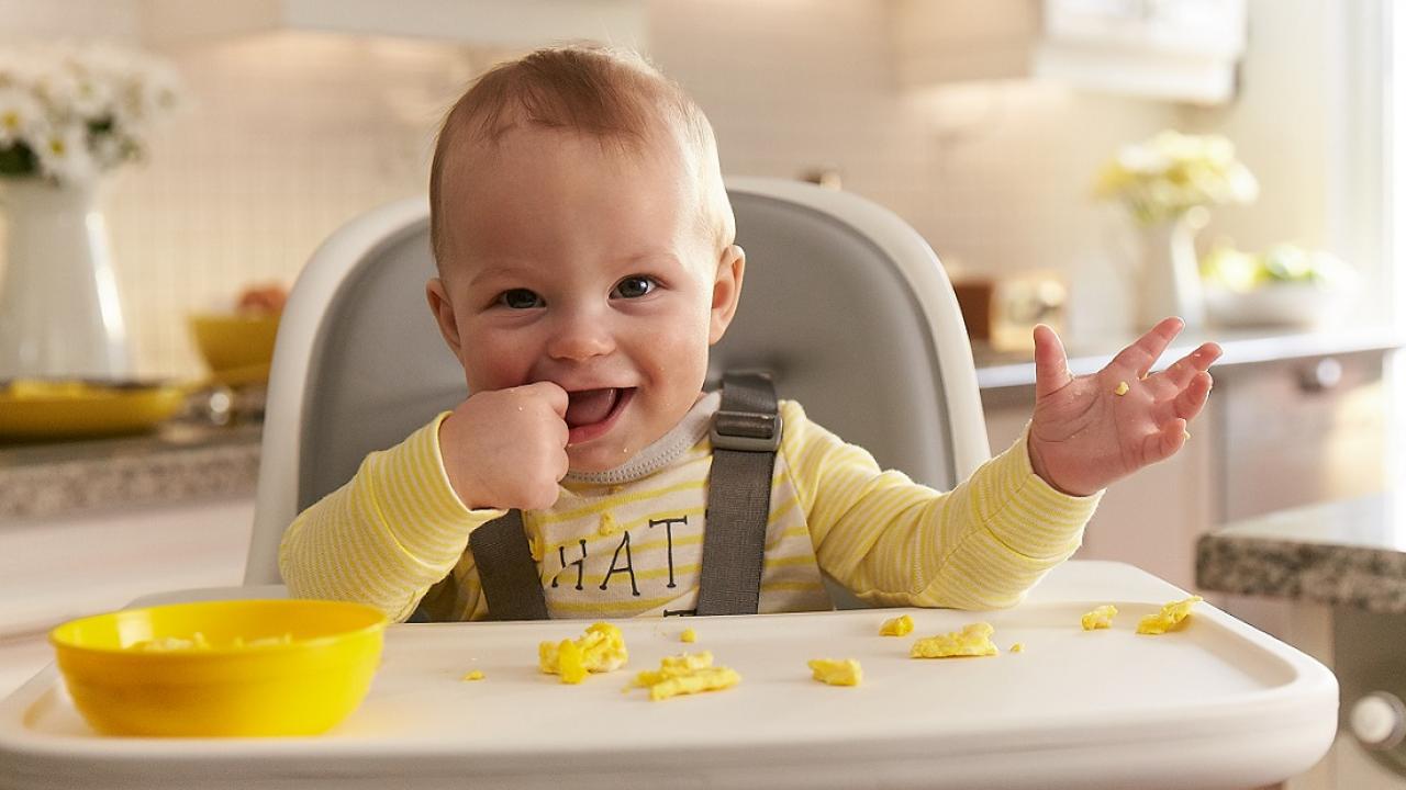 How to introduce Eggs to your Baby