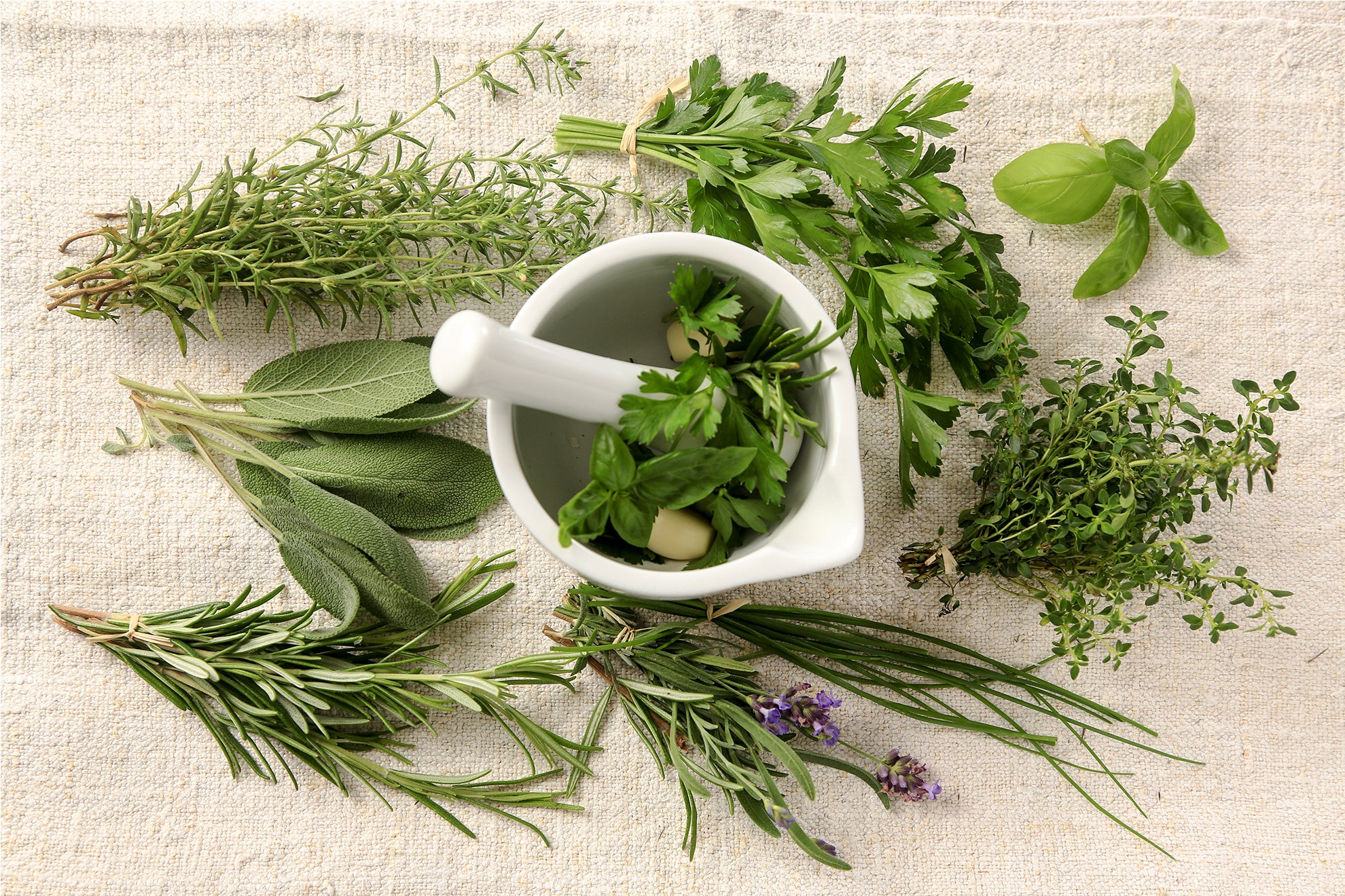 Health benefits of cooking with Herbs