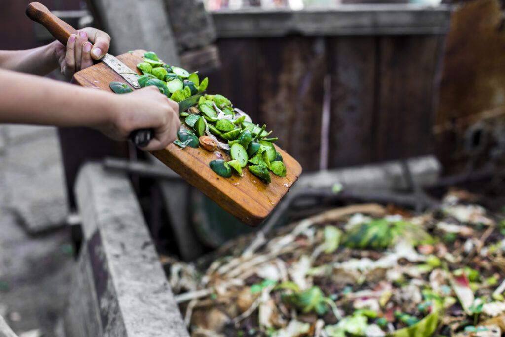 The Role of Composting In Reducing Food Waste