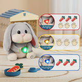Care Pets - Mummy Bunny