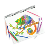 Ooly Switch-eroo! Color-Changing Markers (Set of 12)