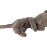 Sleeping Kitten Plush, Small - Grey