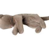 Sleeping Kitten Plush, Grey