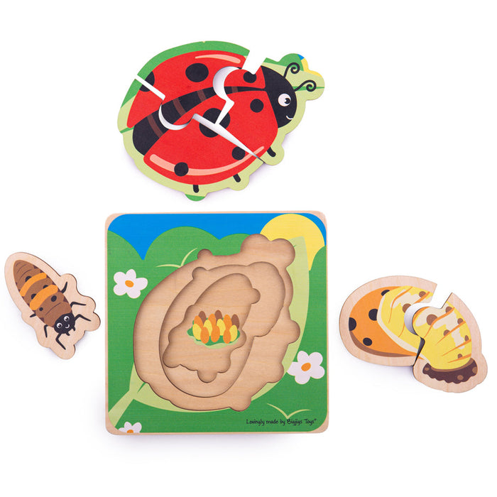 Ladybug Life Cycle Layer jigsaw puzzle