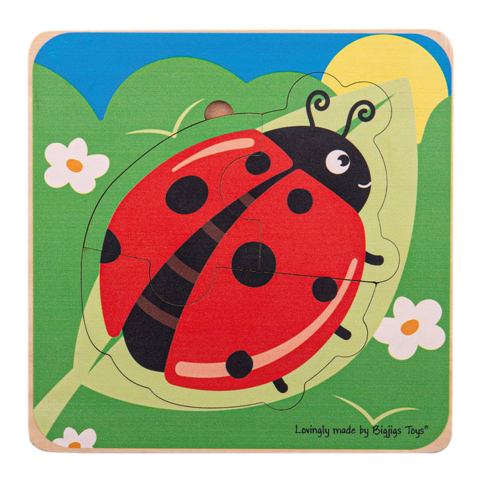 Ladybug Life Cycle Layer jigsaw puzzle
