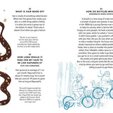 Everything Under The Sun