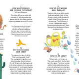 Everything Under The Sun