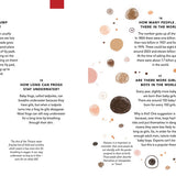 Everything Under The Sun