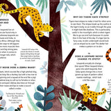 Everything Under The Sun