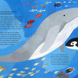 Everything Under The Sun