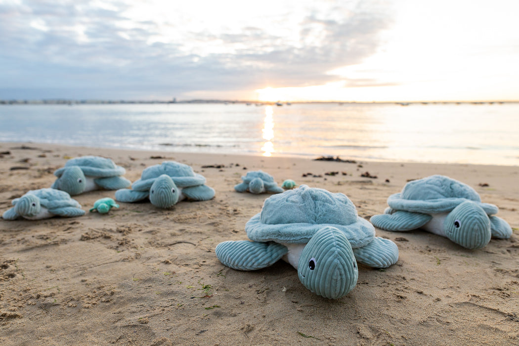 The Turtle - Mum & Baby