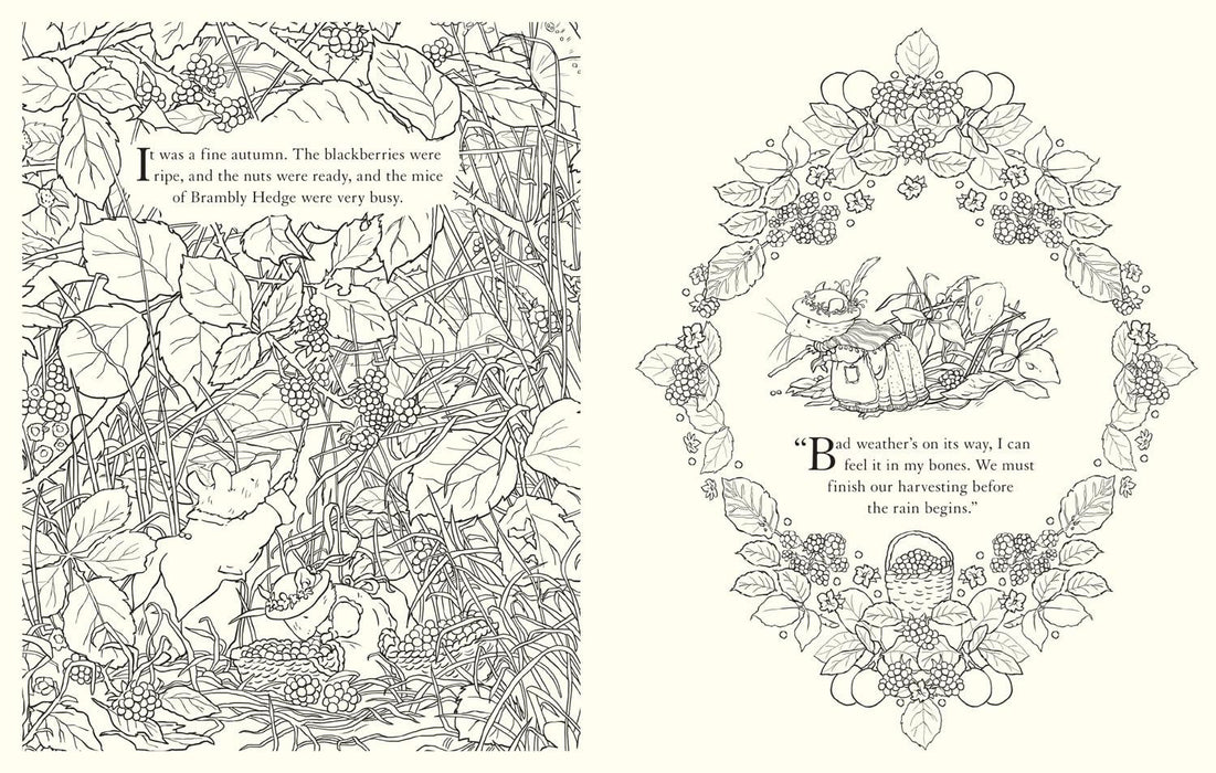 Brambley Hedge: Festive Colouring Book