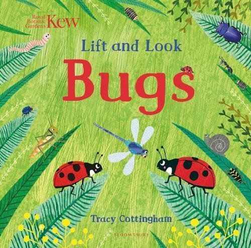 Lift and Look: Bugs (Kew)