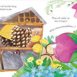 Peep Inside Springtime