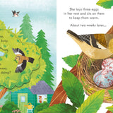 Peep Inside Springtime