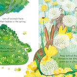 Peep Inside Springtime