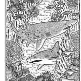 Sharks Magic Painting Book