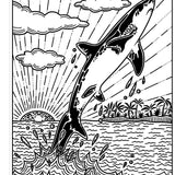 Sharks Magic Painting Book