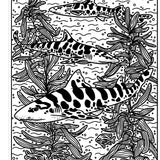 Sharks Magic Painting Book