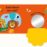 Where is Mr Lion Buggy Book (Felt Flaps)