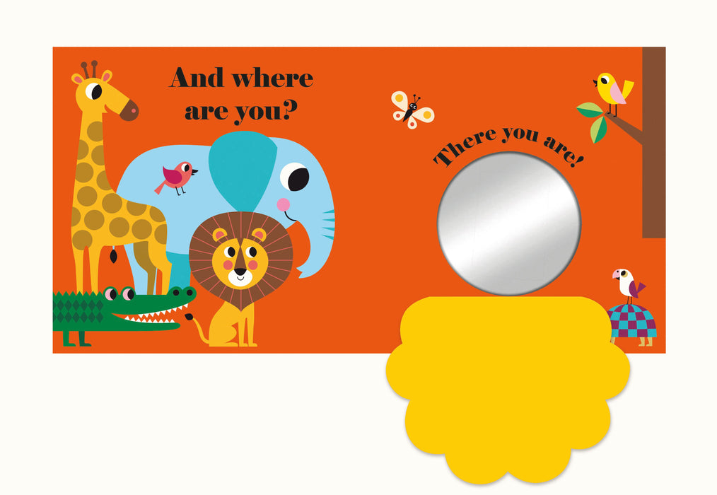 Where is Mr Lion Buggy Book (Felt Flaps)