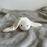 Welcome to the World