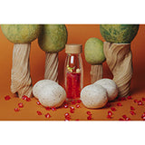 Sensory Toy Bottle Move - T-Rex