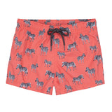 Grevy Swim Shorts