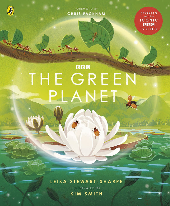 Green Planet (BBC Children's Books)