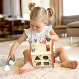 5 in 1 Activity Cube