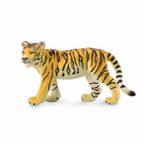 Tiger Cub Walking