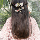 Rainbow Shooting Star Clips