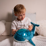 Tranquil Whale