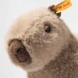 Chip Capybara