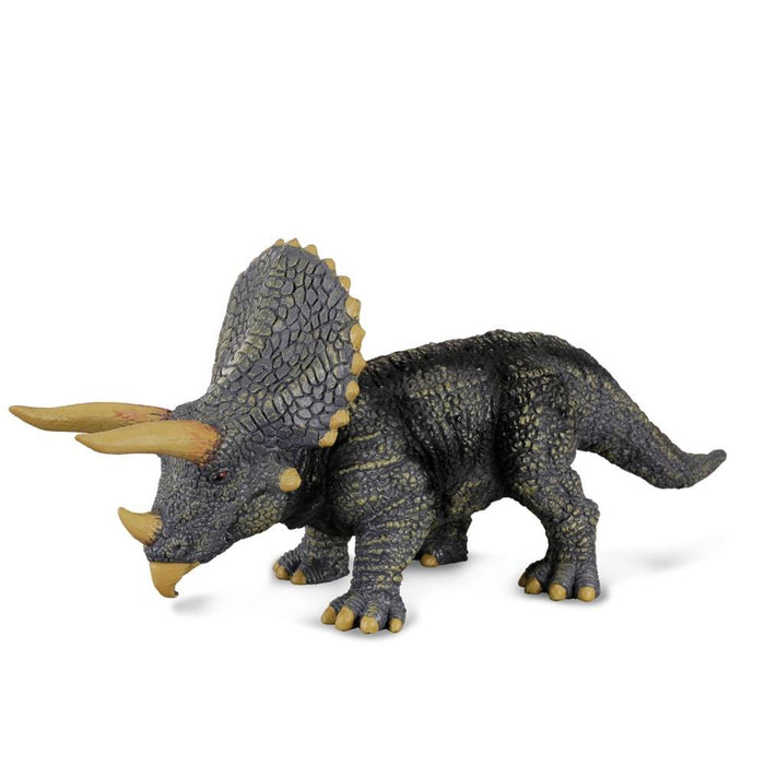 Triceratops