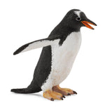 Gentoo Penguin