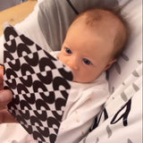 Sensory Flashcards for Babies