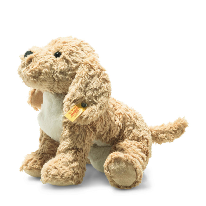 Berno Goldendoodle - 26 cm