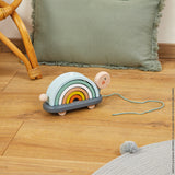 Sweet Cocoon Rainbow Turtle