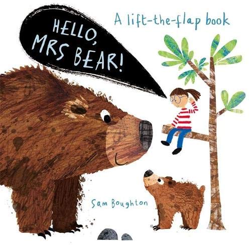 Hello Mrs Bear Book